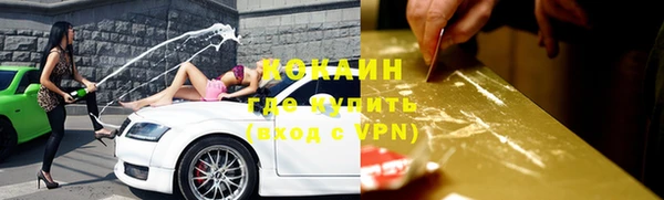 твердый Богданович