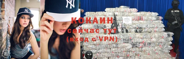 кокс Богородицк