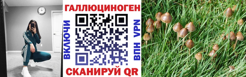 Псилоцибиновые грибы GOLDEN TEACHER  кракен ССЫЛКА  Минусинск 